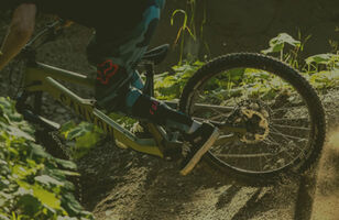 Canyon Spectral 27.5"