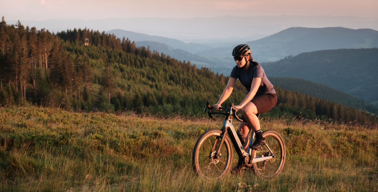 Ebikes