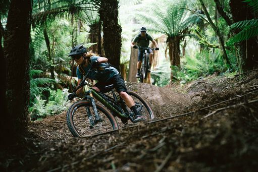 Gu&iacute;a para compradores de MTB de doble suspensi&oacute;n