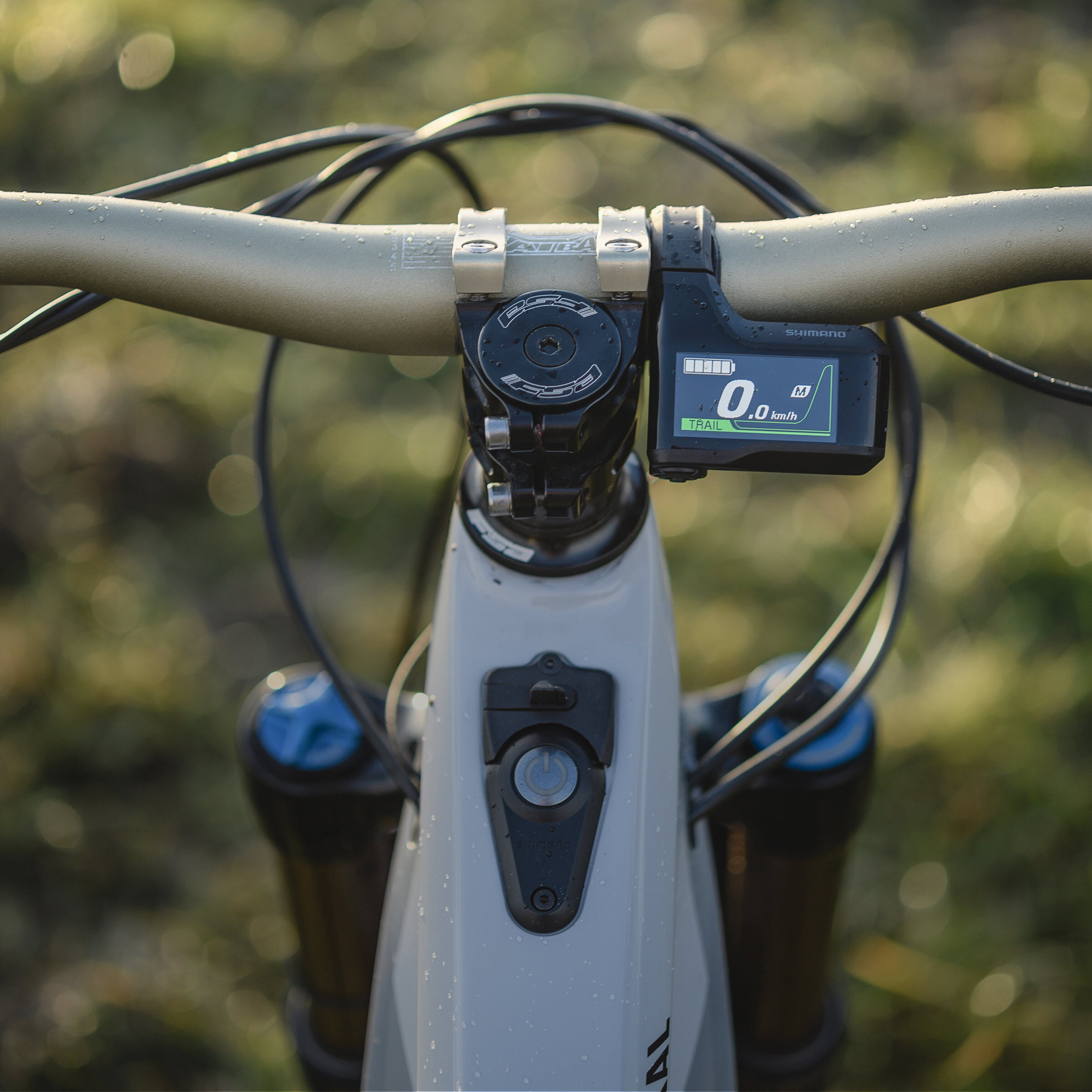 Canyon road top bike sizing