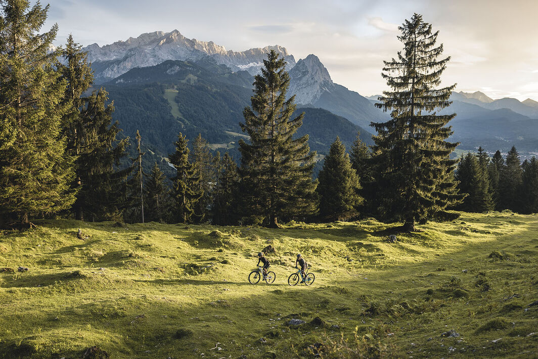 Abenteuer Alpencross: Welches MTB eignet sich? 