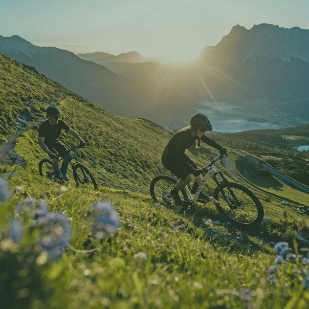MTB Buyer's Guide