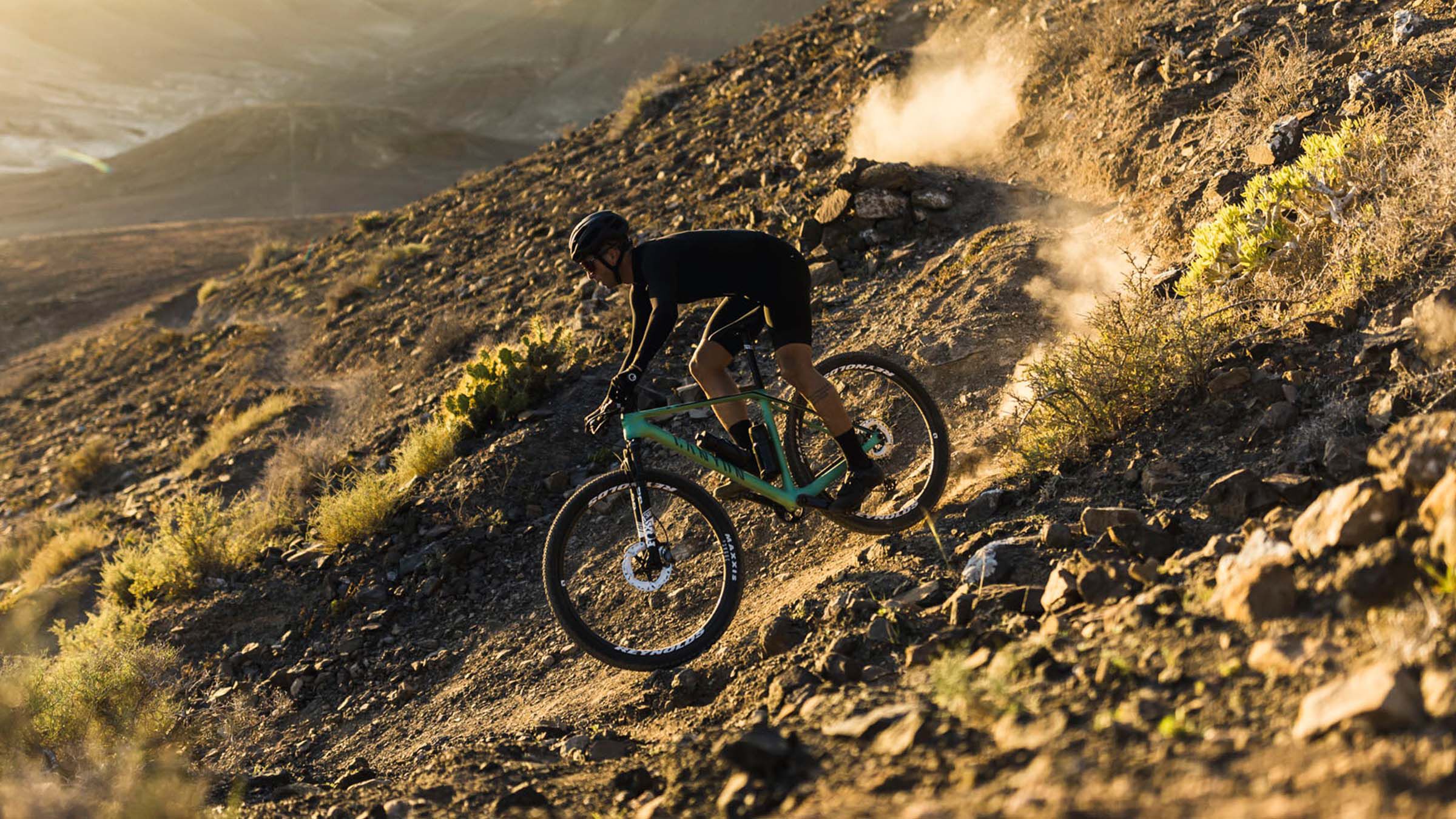 Canyon cf top mtb