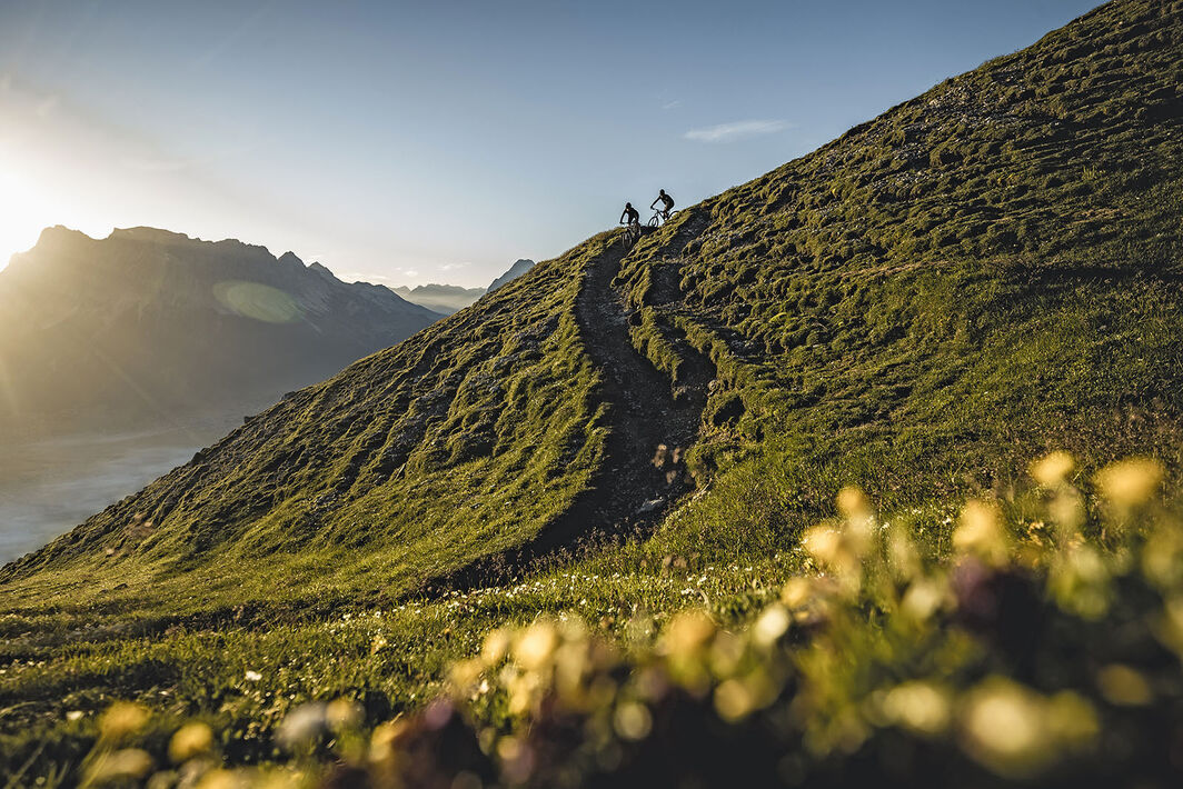 Abenteuer Alpencross: Welches MTB eignet sich? 