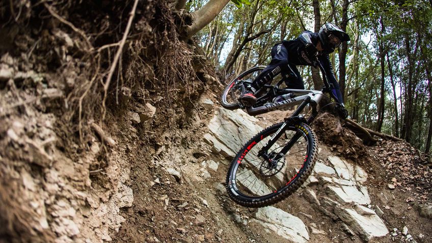 Canyon Strive CFR