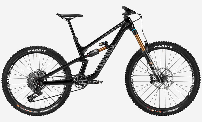 Canyon Torque Mullet