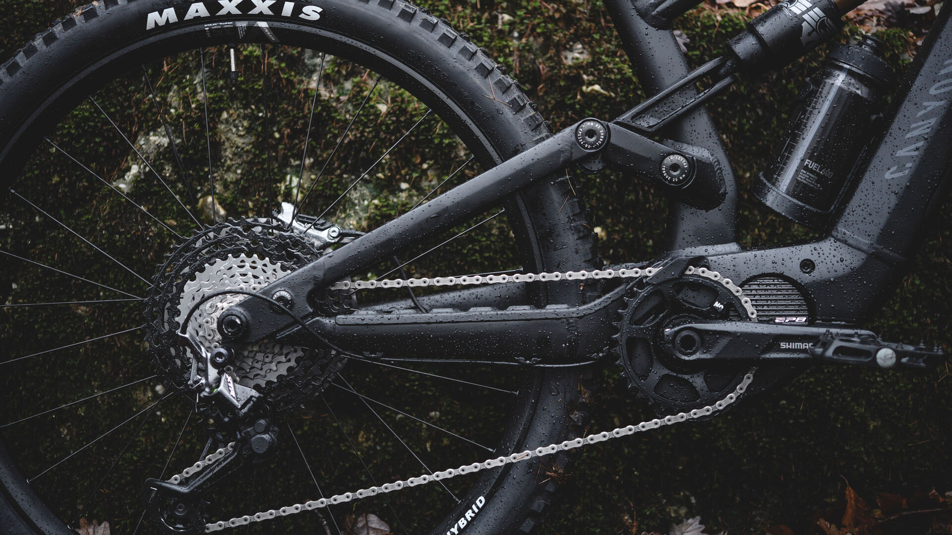 Canyon Torque:on
