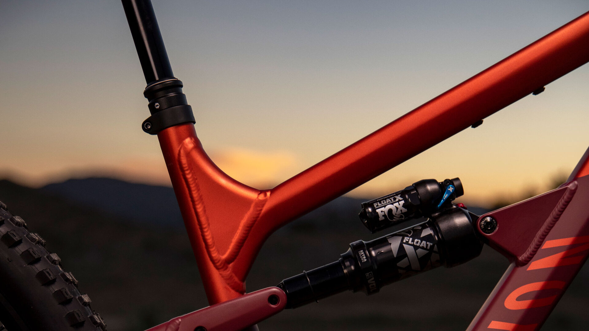 Canyon Spectral 125 AL Chainstay