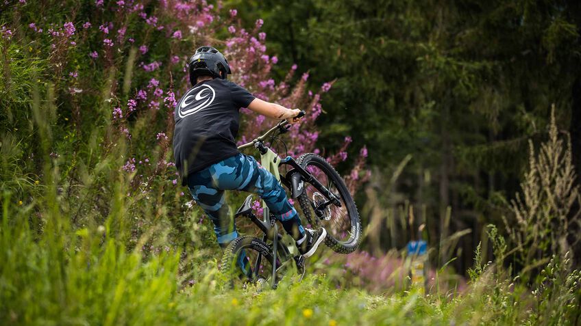 Spectral 27.5"