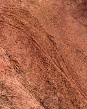 Grand Canyon:ON E-Hardtail