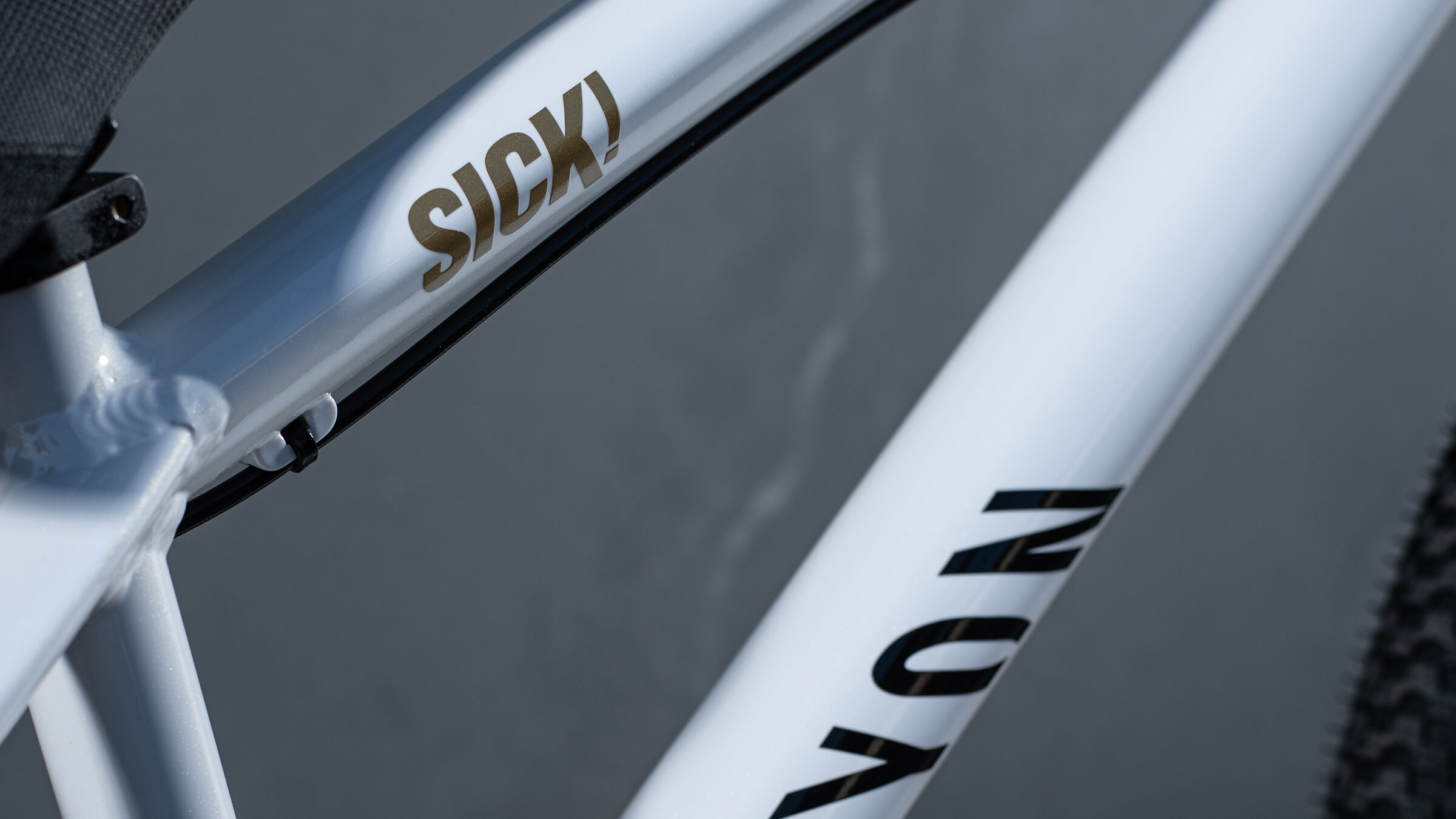 fabio wibmer bike canyon