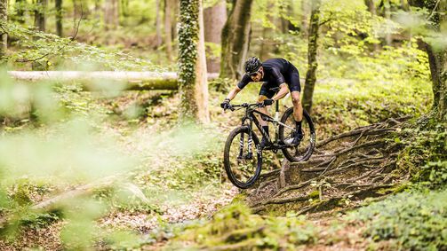 Guía para compradores de MTB de doble suspensión