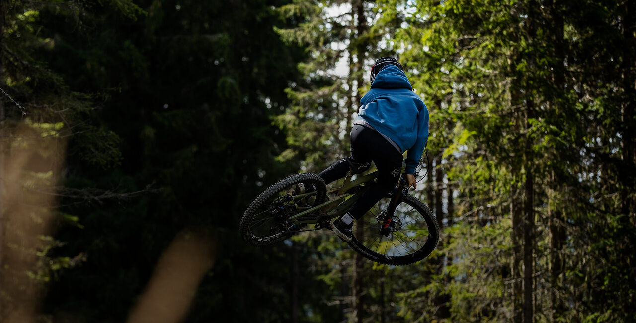 bekken ring Schuine streep Downhill Bike kopen | CANYON NL