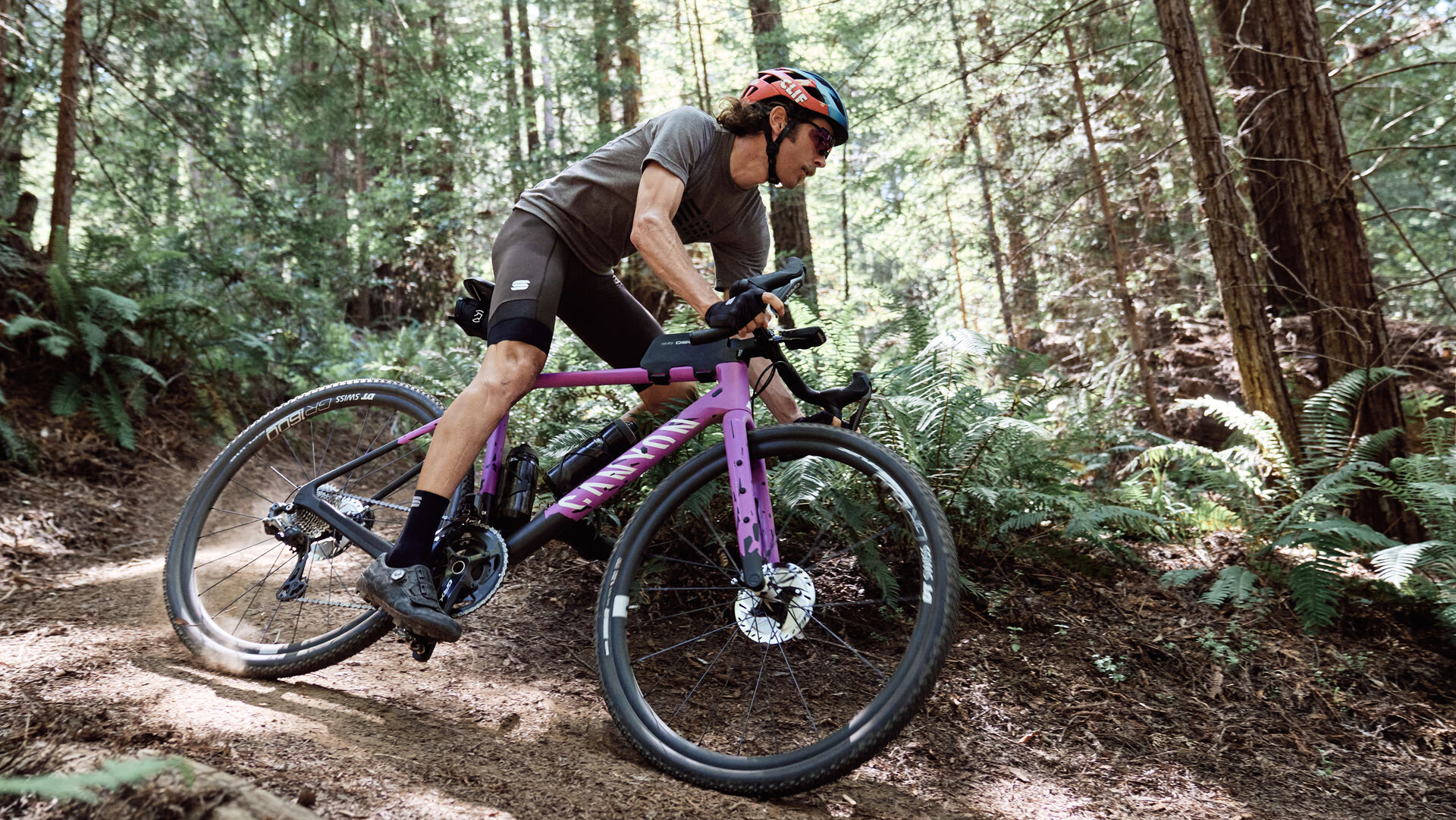 gravel bicycle on forest trail