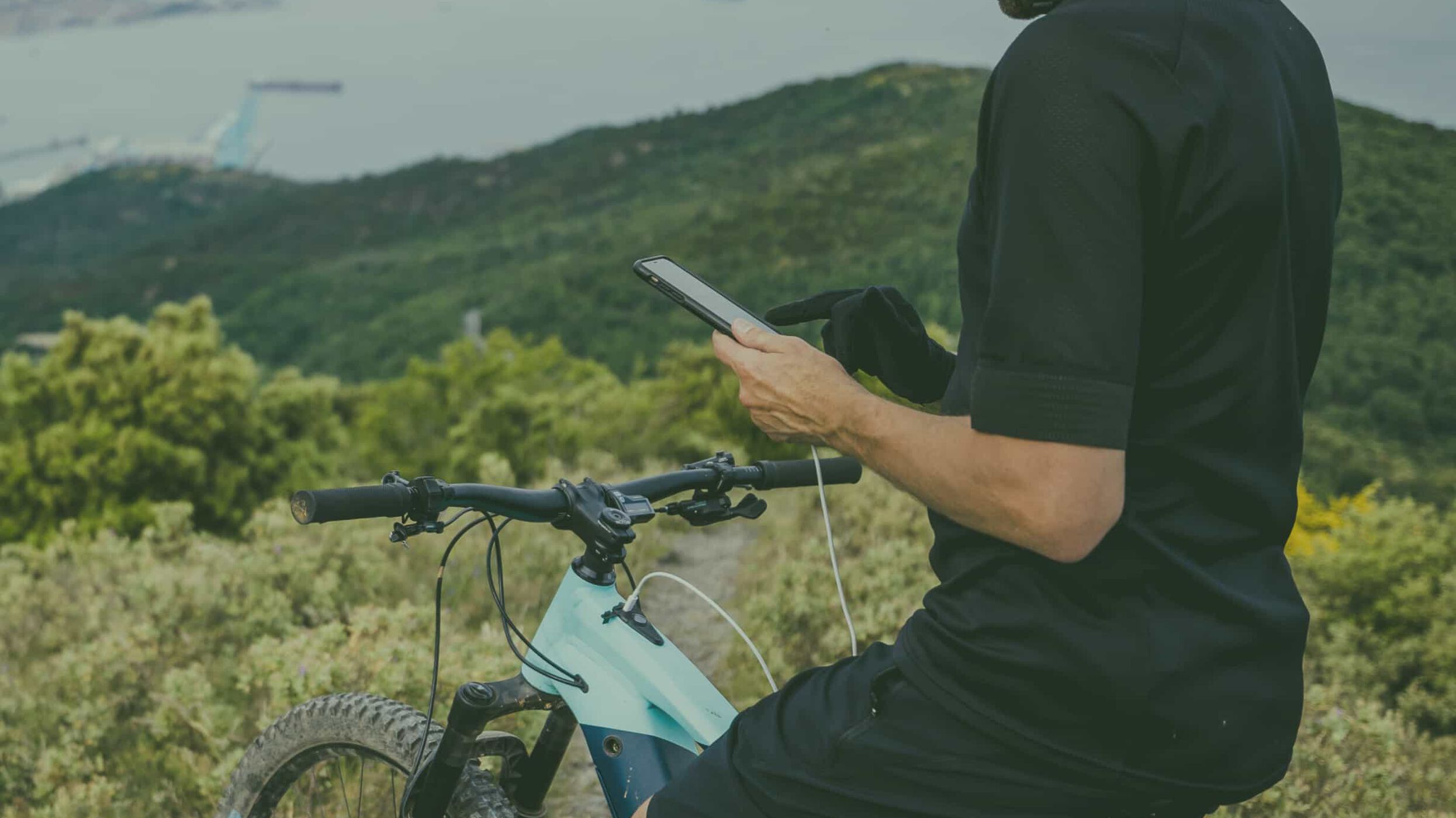 E-MTB Buyer's Guide