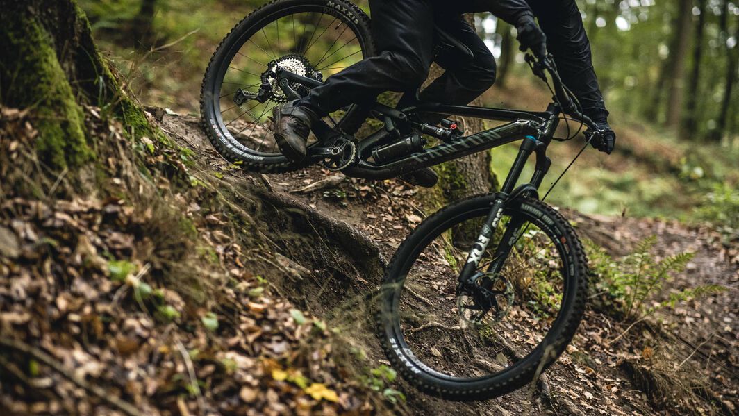 Official MTB trails in Germany