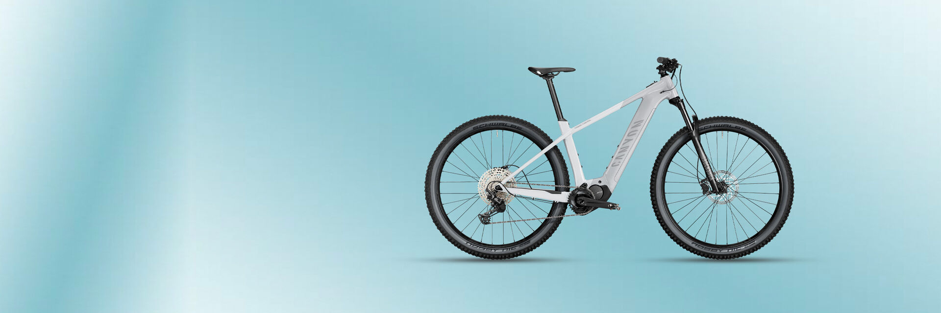 Giornata mondiale della bicicletta