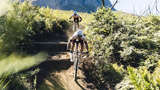 Lux World Cup CFR Untamed Lux World Cup CFR Untamed