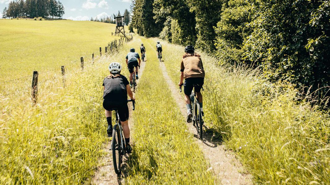 Die 4 schönsten Gravel Touren durch den Schwarzwald