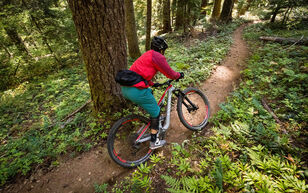 Trail Bikes