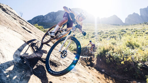 Lux World Cup CFR Untamed Lux World Cup CFR Untamed