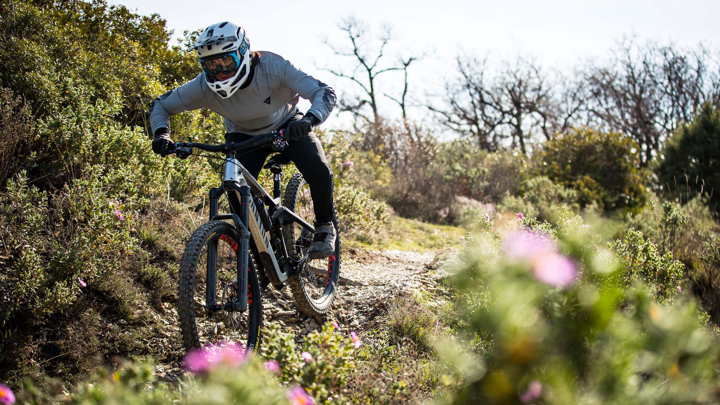Canyon strive sale geometry