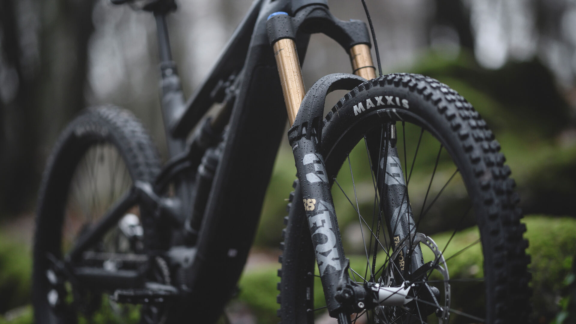 Canyon Torque:on