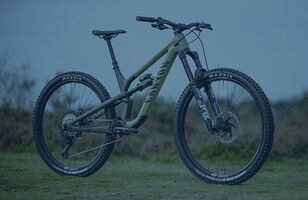 Canyon Spectral 29"