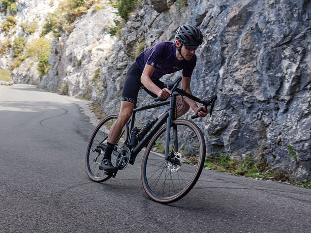 Canyon Endurace AL