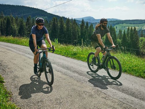 Schöne E-Bike Touren durch den Harz für jedes Konditionslevel 