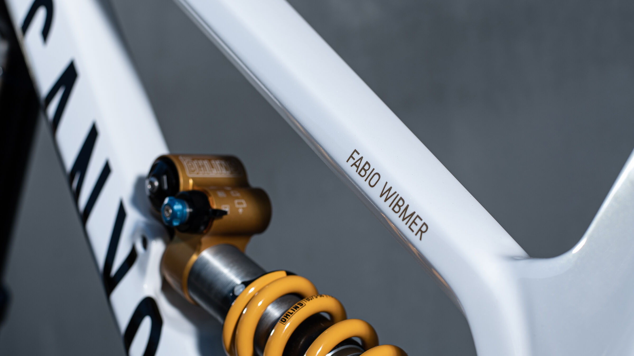 Fabio Wibmer and Canyon Join Forces CANYON US