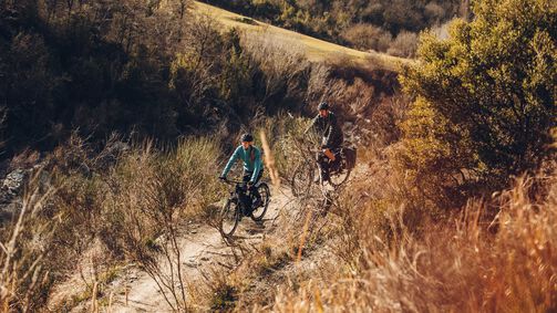 Skal jeg have en e-mtb eller e-trekking cykel?