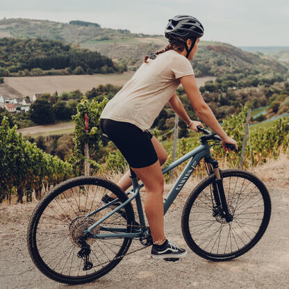 Bicicletas de paseo