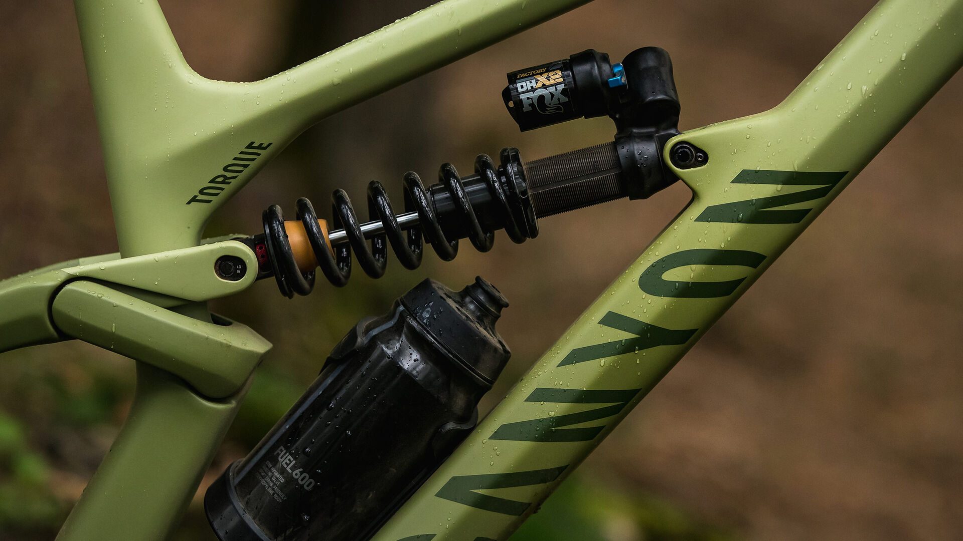 Canyon Torque Mullet