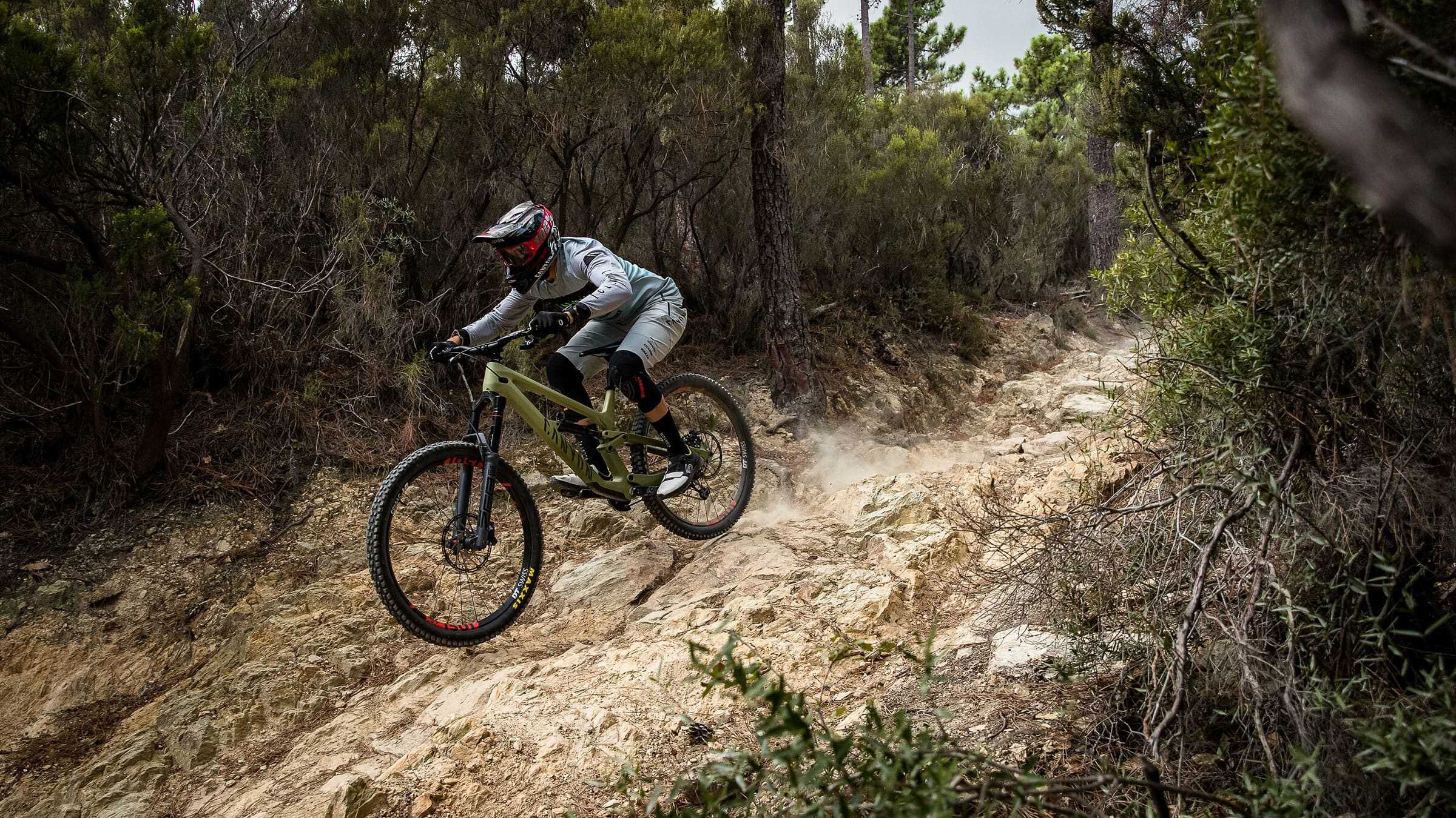 Canyon torque 29er online