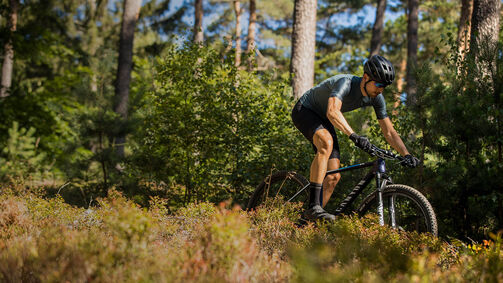 Die schönsten Mountainbike-Touren in Bayern 