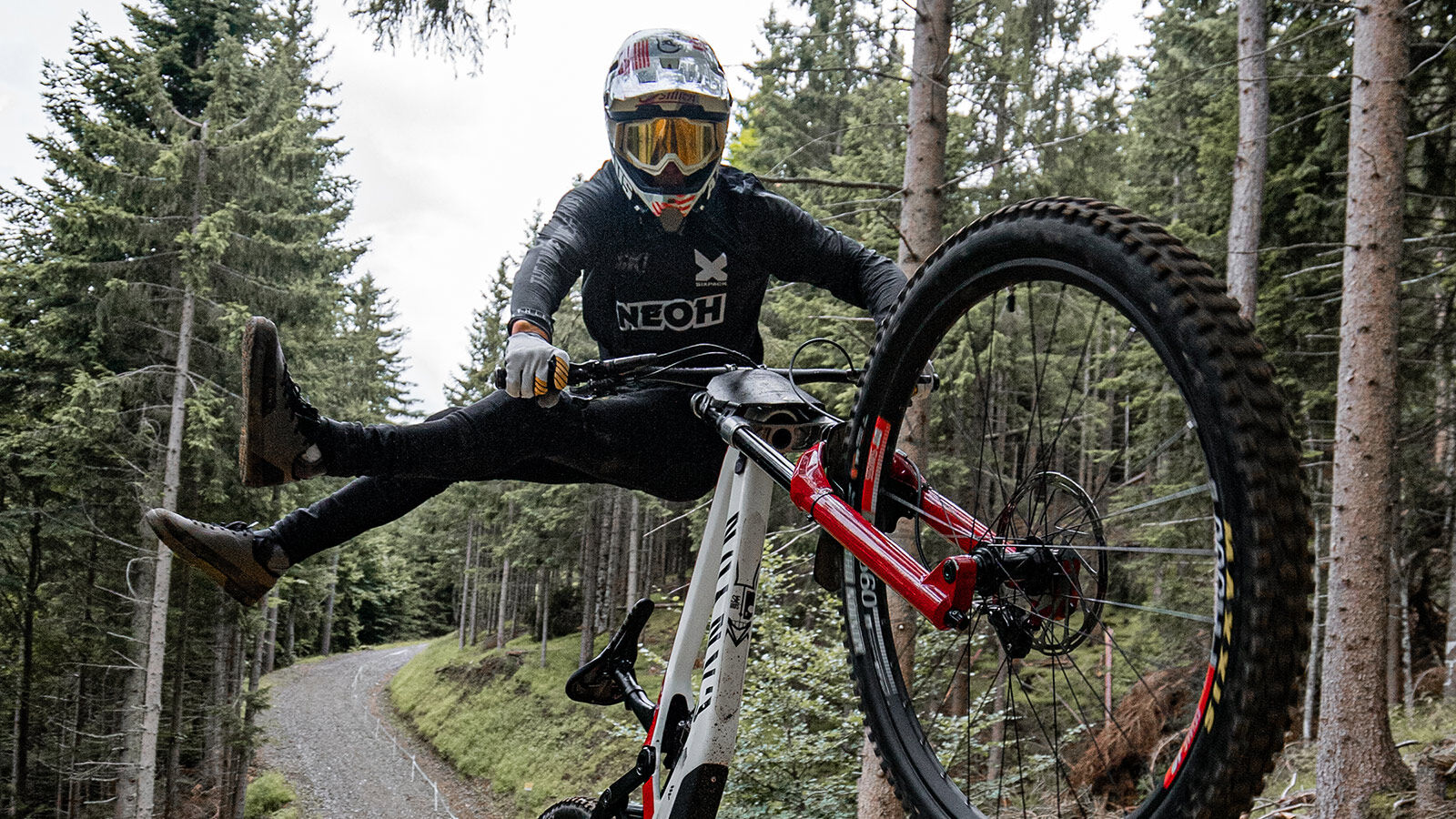 Gabriel on sale wibmer bike