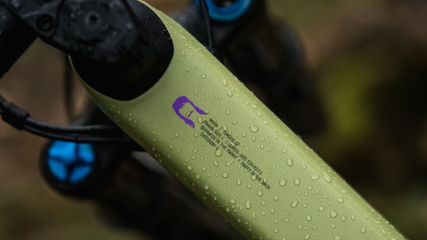 Canyon launch the new Torque range CANYON TW