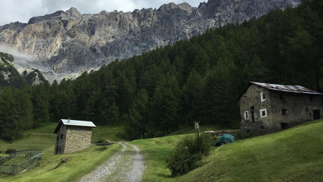 Cresta della Reit - Bormio Valtellina Cresta della Reit - Bormio Valtellina