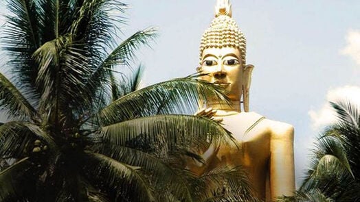 Siam Bike Tours