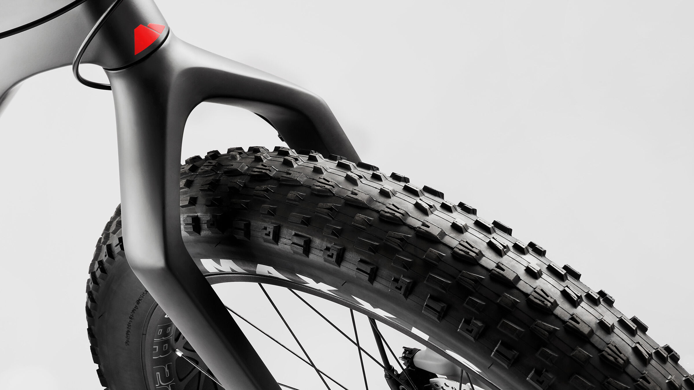 Canyon fat bike 2025 for sale