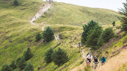 Die besten Gravel Bike Touren im Harz