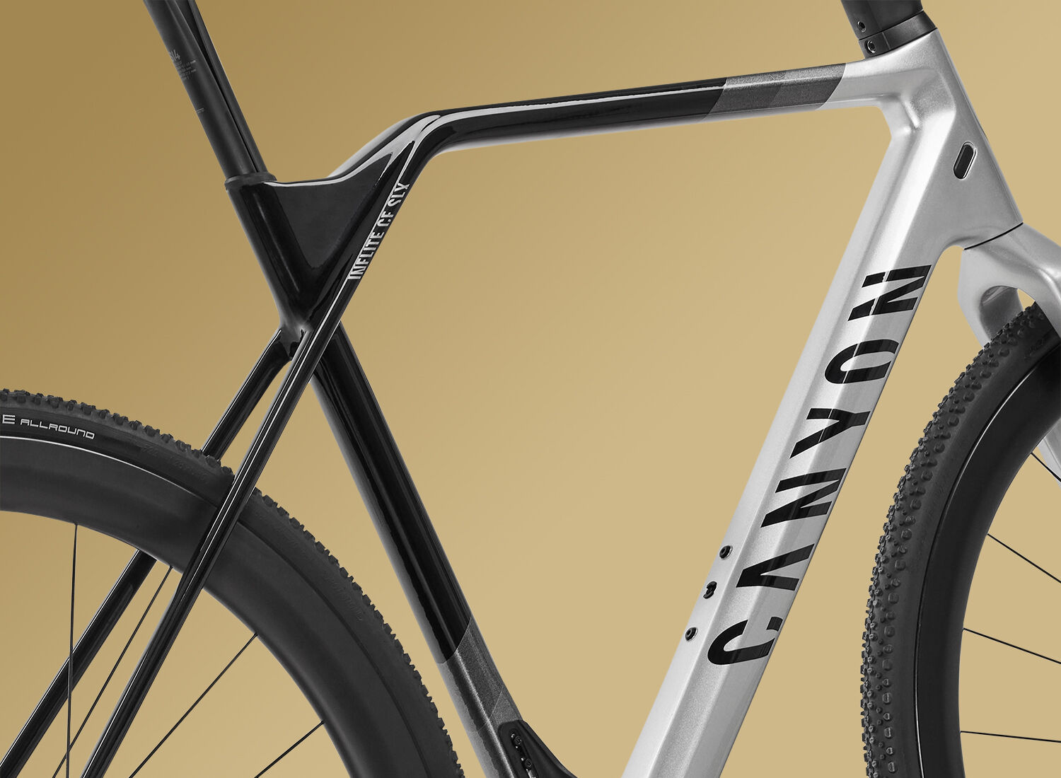 Canyon inflite frame online