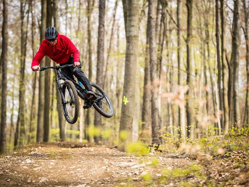 Die 9 schönsten Bikeparks in Tschechien