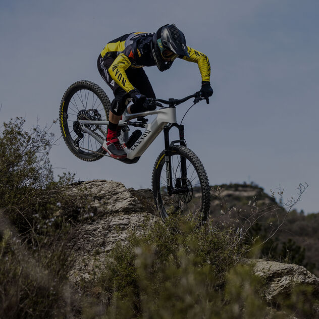 Canyon Strive:ON CFR