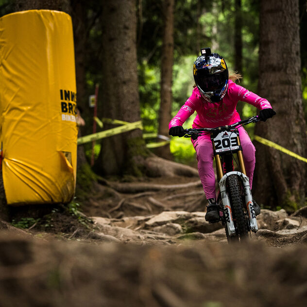 Guide de l'acheteur pour nos VTT de descente