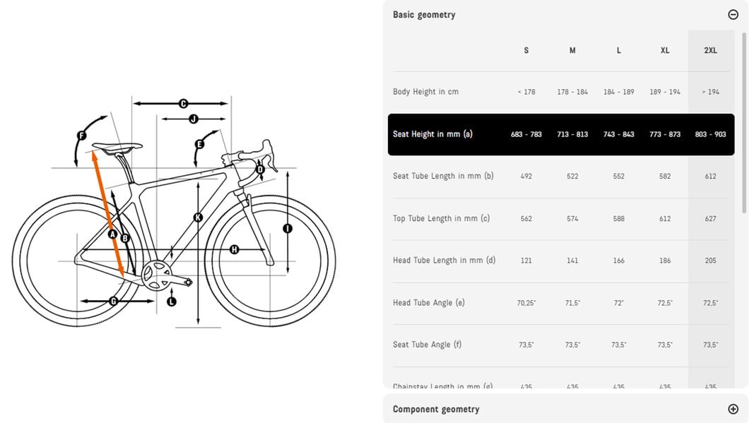 Canyon gravel bike geometry chart