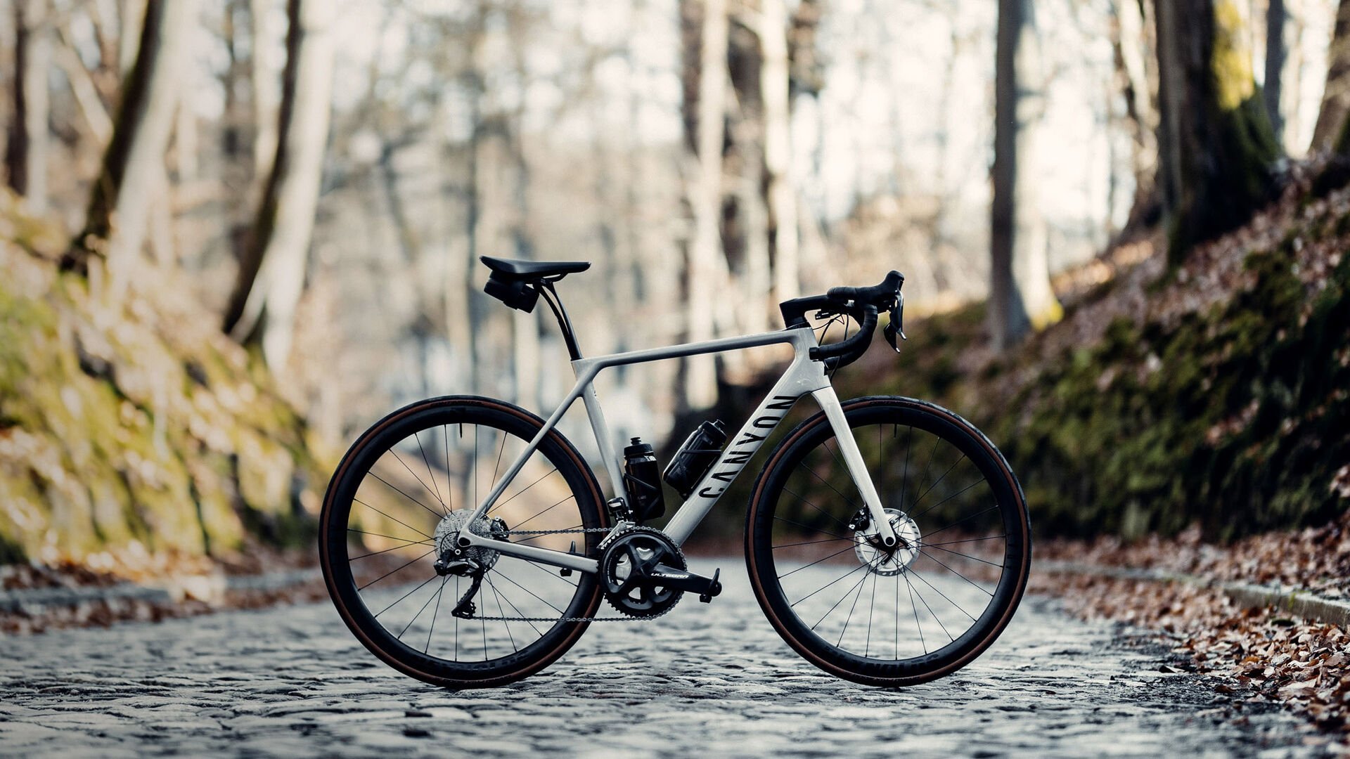 Canyon Endurace endurance racefiets CANYON BE