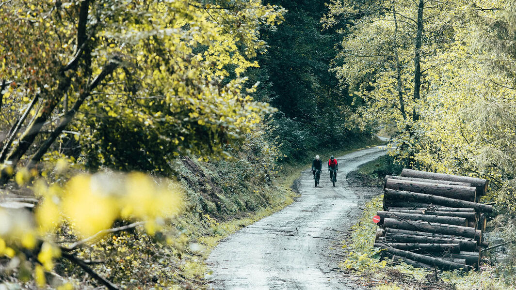 Gravel Touren durch die Eifel 
