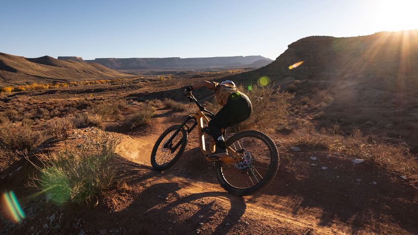 Canyon Torque 27.5"